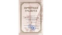 2001-2002 (силовая подготовка) 3 место